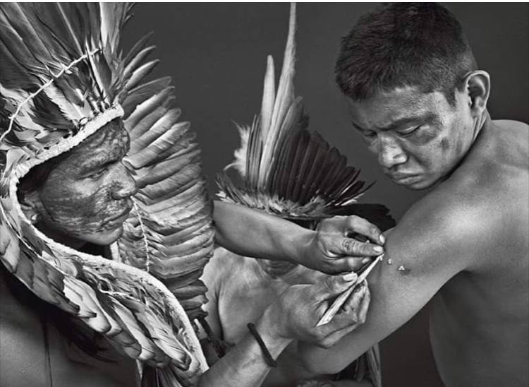Kaxinawá Legend