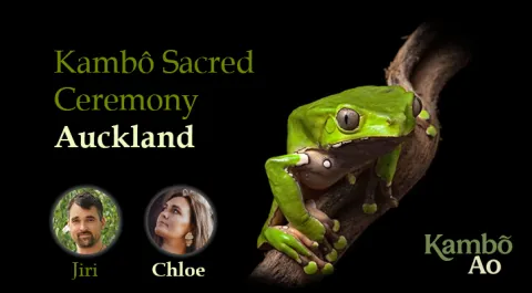 kambo